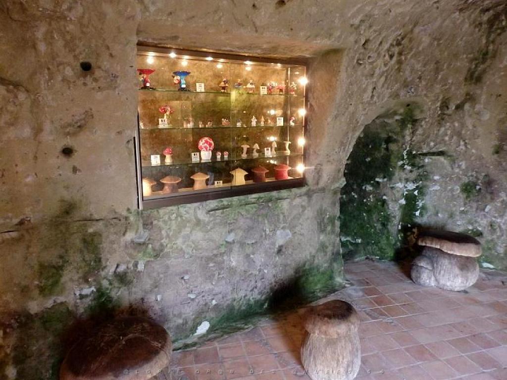 149 MUSEE DU CHAMPIGNON A  SAUMUR 2016 1_000008.jpg